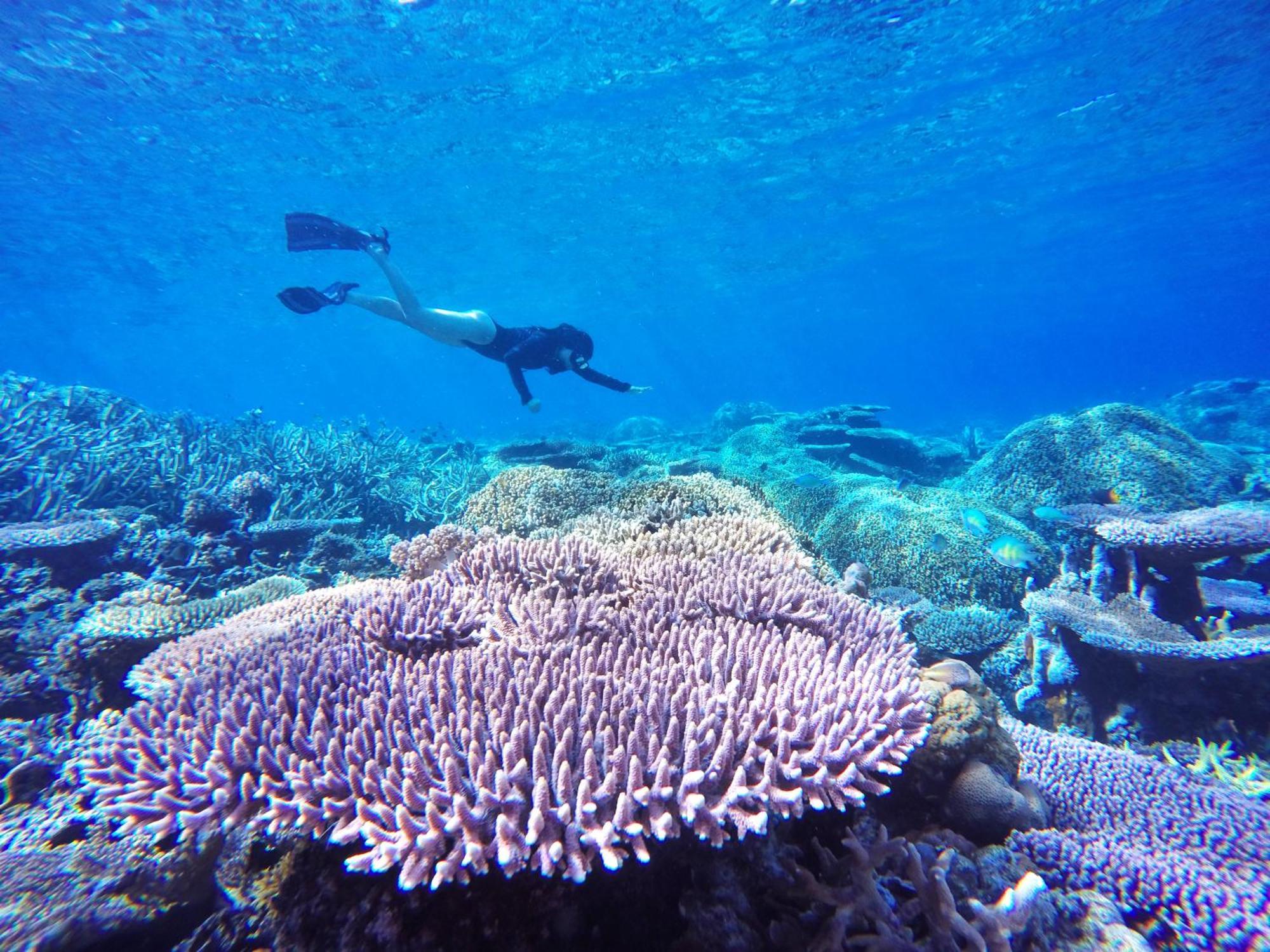Bolilanga Island Resort - Togean Island Angkayo المظهر الخارجي الصورة