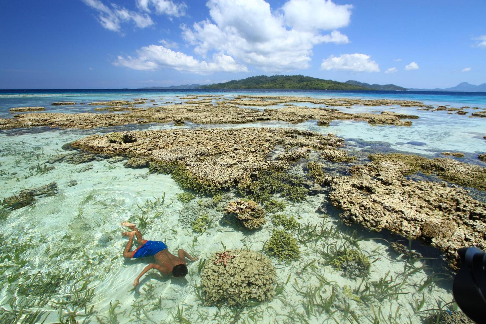 Bolilanga Island Resort - Togean Island Angkayo المظهر الخارجي الصورة